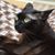 Linda Morris's profile image