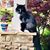 Denise Golden Finley's profile image