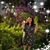 Christine Nicole's profile image