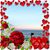 Shirley Marchman's profile image