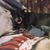 Jeanette Collazo's profile image
