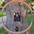 Amy Sisser's profile image