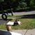 Teri Vanderlind's profile image