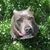 Zak Beasy's profile image