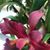 Julie Young's profile image