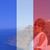 Rachel Serour's profile image