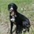 Molly Werner Garza's profile image
