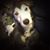 Tricia Collins's profile image