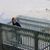 Carol Barton Almand's profile image