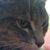 Jennifer Skelton's profile image