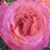 Valentina Morales's profile image