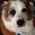 Carolyn Eddy's profile image