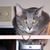 Abigail Ann Smith's profile image