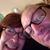 Susan Chapman Clappe's profile image