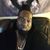 Andre Thomas Long-Hart's profile image