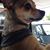 Nina Bender Bossert's profile image