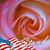 Mara Corzo's profile image