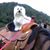 Paul Bruce Harris's profile image