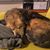 Sarah Wogen Holcomb's profile image