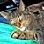 Audrey Voss's profile image