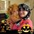 Roxann Pretopapa-Miller's profile image