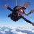 Trace Sherer's profile image