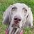 Natalie Garris's profile image