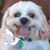 Patricia Martin's profile image