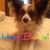 Debie Bauer Romeo's profile image