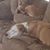 Tammy Edwards Clubb's profile image
