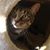 Patricia Spaulding's profile image