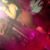 Bibi Gonzalez's profile image