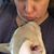 Dawn M Nawrocki-gignac's profile image