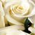 Eydie Martin's profile image