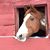Holly Davis's profile image