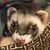 Brian Blackburn's profile image