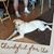 JoEllen Robbins's profile image