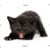 Eileen Bouris's profile image