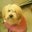 Maria Corea-Gray's profile image