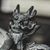 Lisa Margolis's profile image