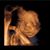 Carol Beneteau's profile image