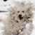 Rayna Bradfield Salvetti's profile image