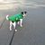 Lorraine Waugh Stewart's profile image