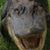 Gary Hill's profile image
