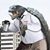 Joe Herrmann's profile image