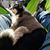 Brittany Amber Frakes's profile image