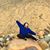 Christine Chun's profile image