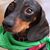 Kiely Boggs's profile image