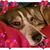 Night Zamora's profile image