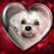 Tatiana Garcia's profile image